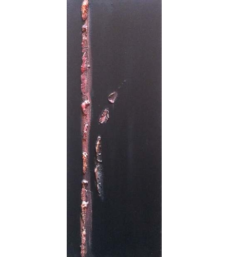 mortier et acryl sur toile, 80 x 30 cm, 2012
